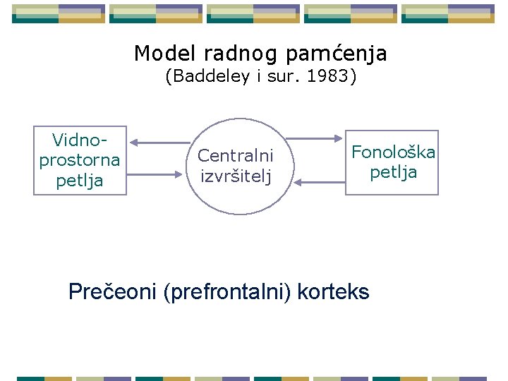 Model radnog pamćenja (Baddeley i sur. 1983) Vidnoprostorna petlja Centralni izvršitelj Fonološka petlja •