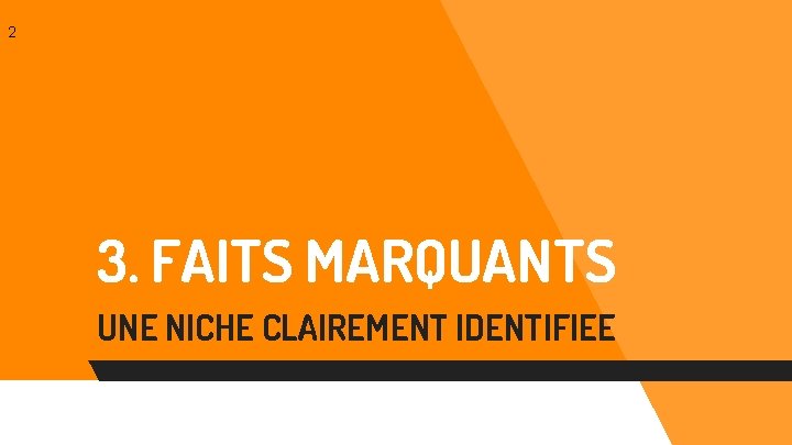 2 3. FAITS MARQUANTS UNE NICHE CLAIREMENT IDENTIFIEE 