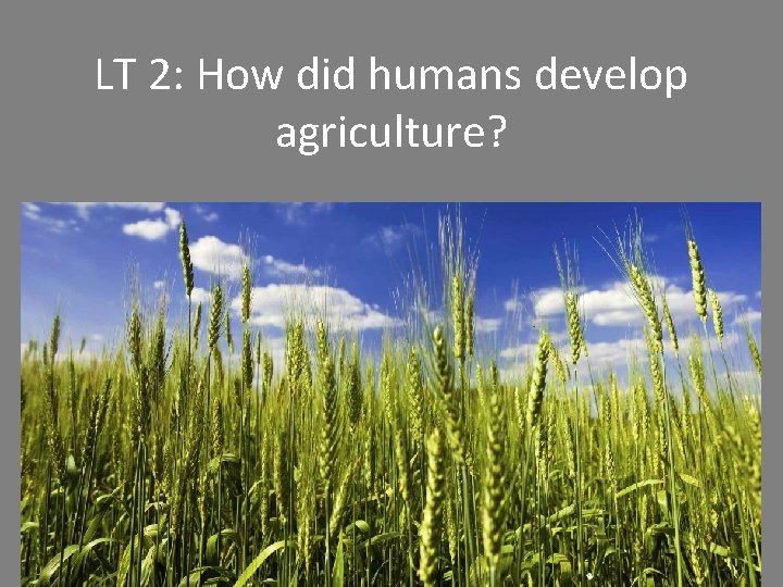 LT 2 How did humans develop agriculture REVIEW
