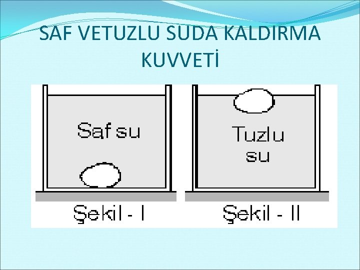 SAF VETUZLU SUDA KALDIRMA KUVVETİ 