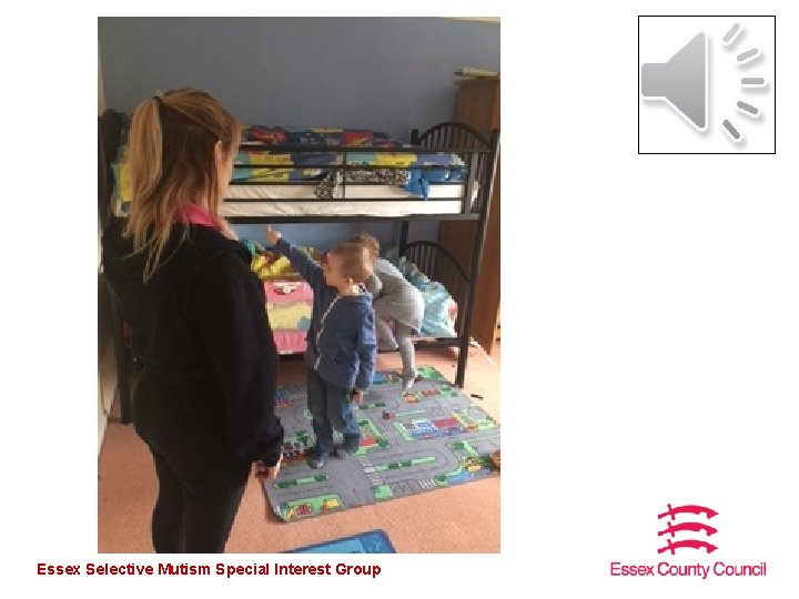 Essex Selective Mutism Special Interest Group 