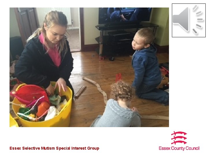 Essex Selective Mutism Special Interest Group 