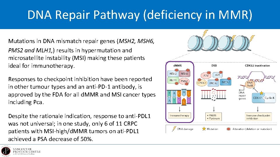 DNA Repair Pathway (deficiency in MMR) Mutations in DNA mismatch repair genes (MSH 2,