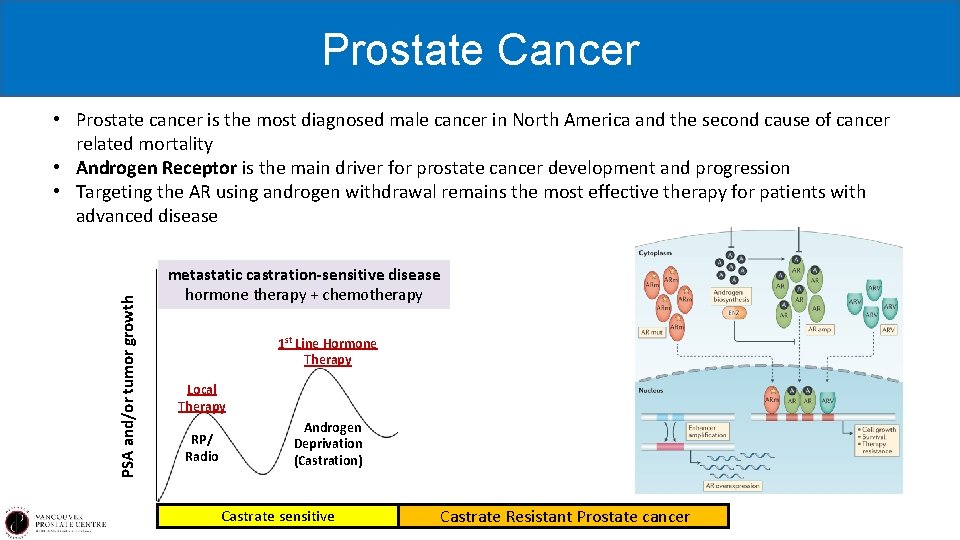 Prostate Cancer PSA and/or tumor growth • Prostate cancer is the most diagnosed male