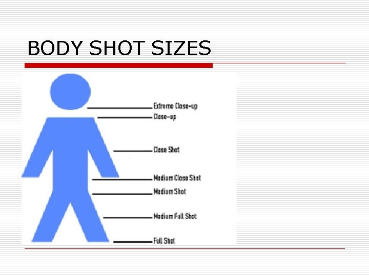 BODY SHOT SIZES 