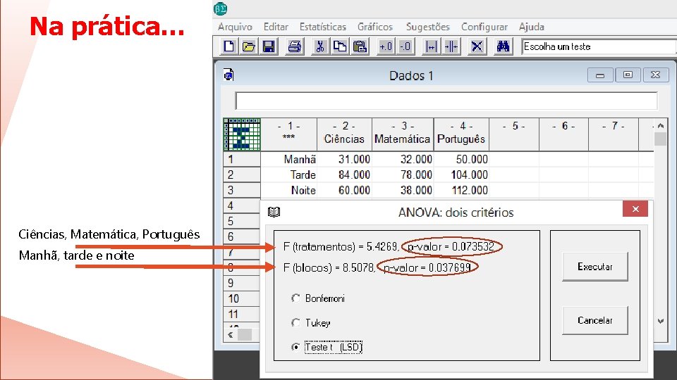 Na prática… Ciências, Matemática, Português Manhã, tarde e noite 