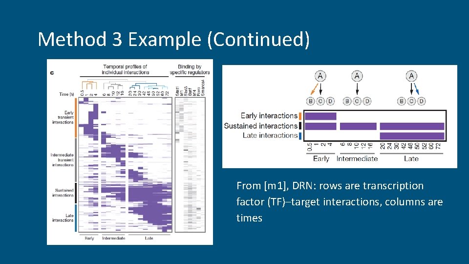 Method 3 Example (Continued) From [m 1], DRN: rows are transcription factor (TF)–target interactions,