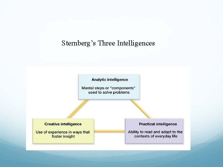 Sternberg’s Three Intelligences 