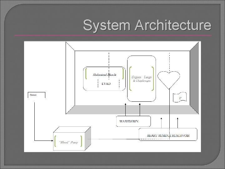 System Architecture 