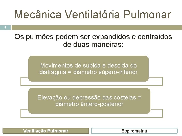 Mecânica Ventilatória Pulmonar 4 Os pulmões podem ser expandidos e contraídos de duas maneiras: