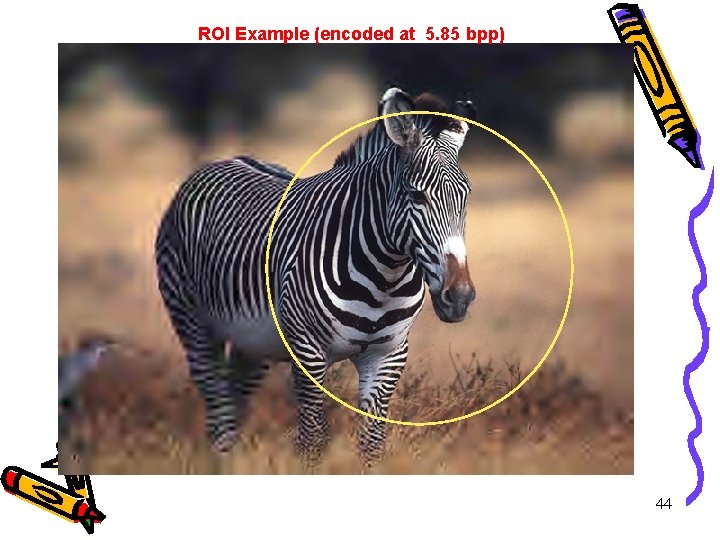 ROI Example (encoded at 5. 85 bpp) 44 