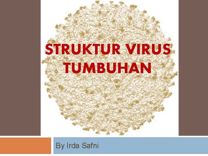 STRUKTUR VIRUS TUMBUHAN By Irda Safni 