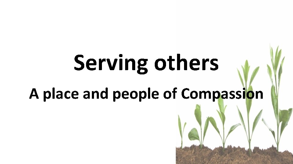 Serving others A place and people of Compassion 