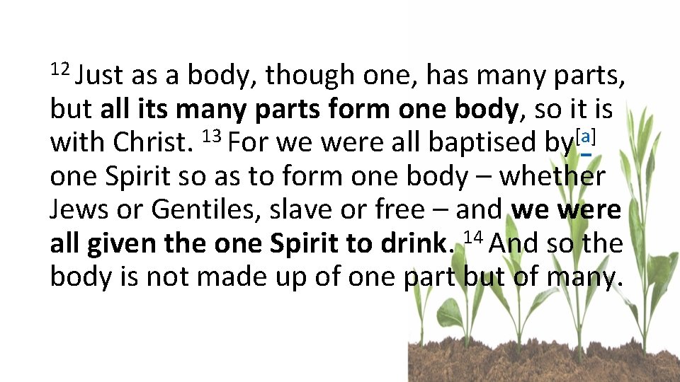 12 Just as a body, though one, has many parts, but all its many