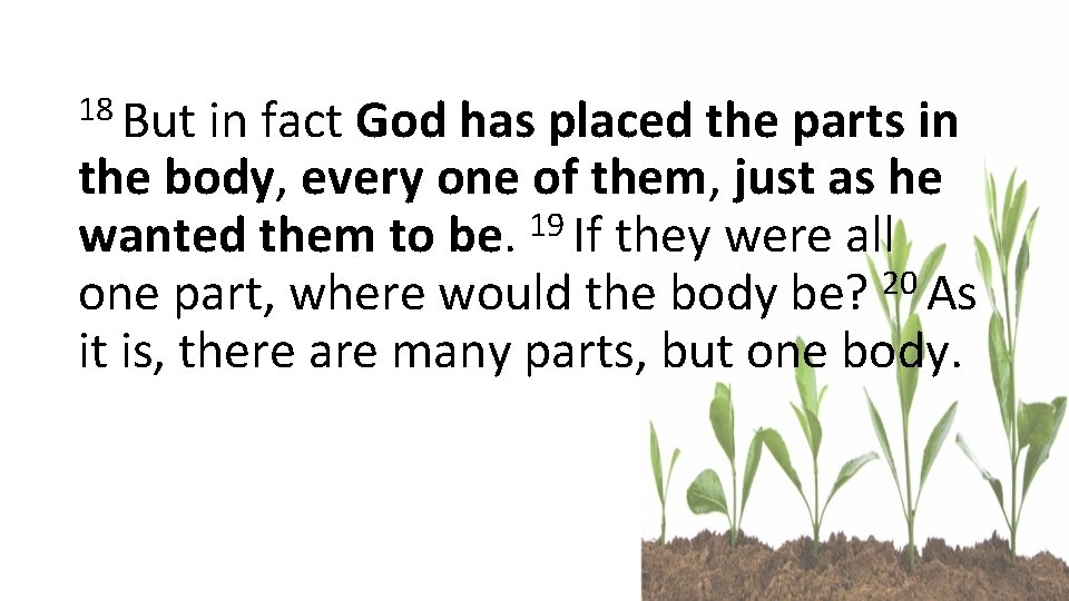 18 But in fact God has placed the parts in the body, every one