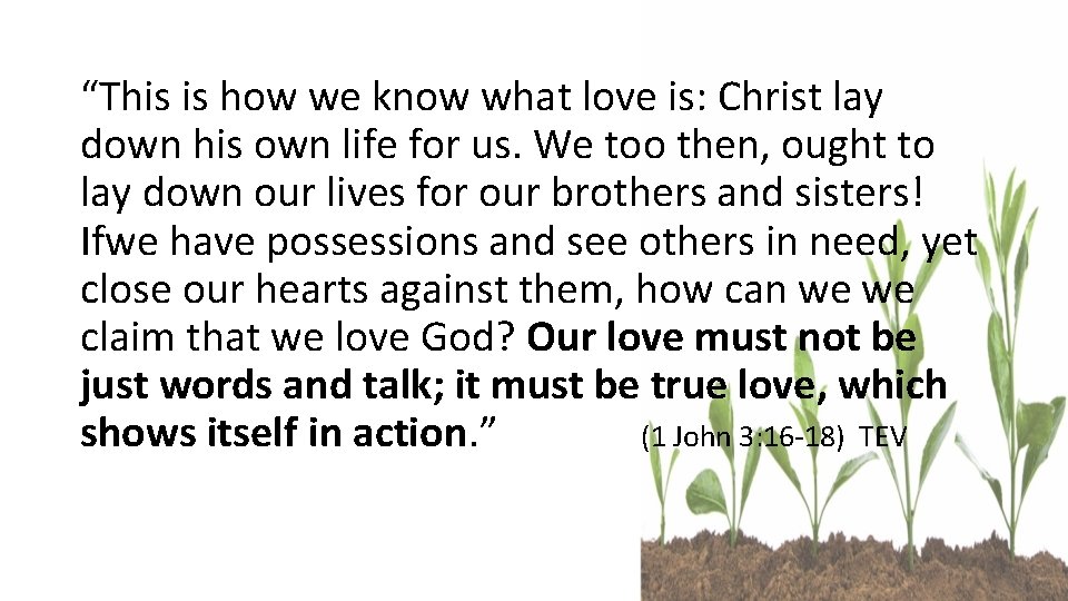 “This is how we know what love is: Christ lay down his own life