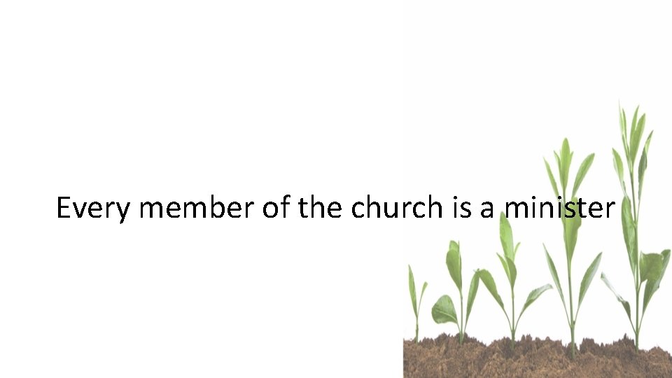 Every member of the church is a minister 