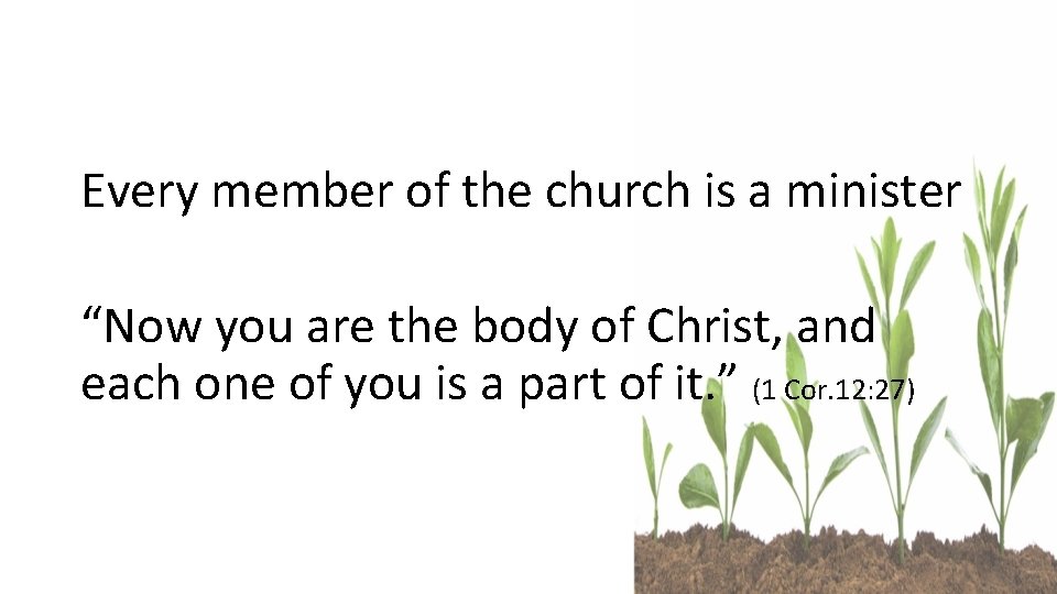 Every member of the church is a minister “Now you are the body of