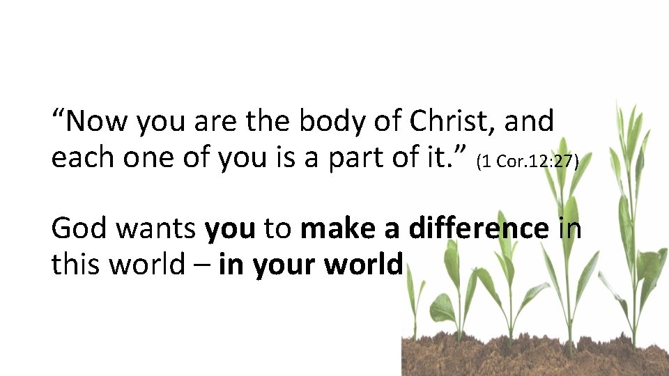 “Now you are the body of Christ, and each one of you is a