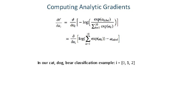 Computing Analytic Gradients In our cat, dog, bear classification example: i = {0, 1,