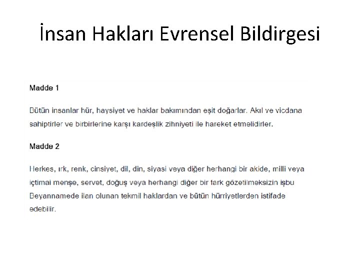 İnsan Hakları Evrensel Bildirgesi 