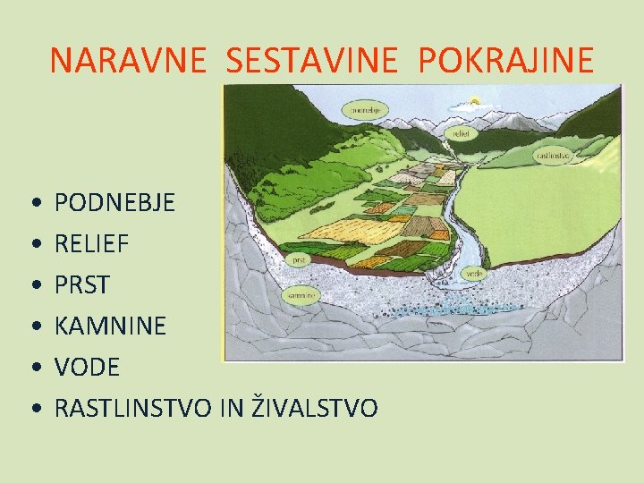 NARAVNE SESTAVINE POKRAJINE • • • PODNEBJE RELIEF PRST KAMNINE VODE RASTLINSTVO IN ŽIVALSTVO