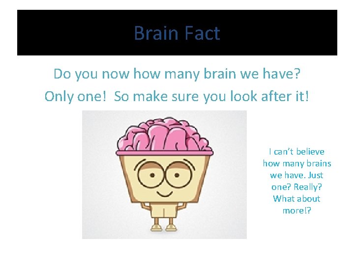 Brain Facts The brain looks soft and squooshy
