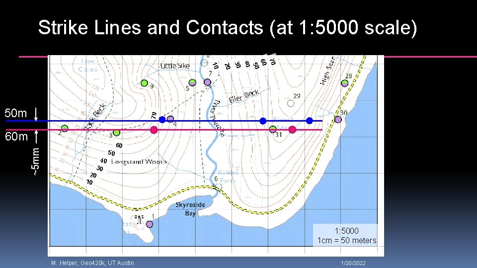 Strike Lines and Contacts (at 1: 5000 scale) 70 70 60 50 40 30