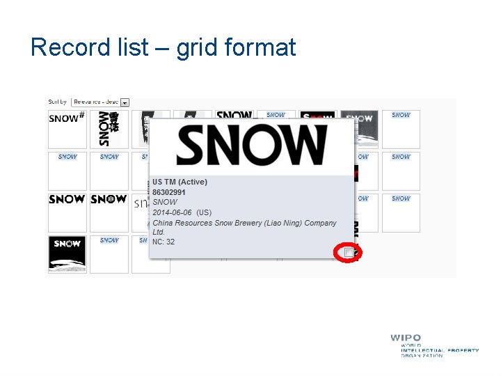 Record list – grid format 