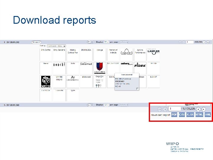 Download reports 