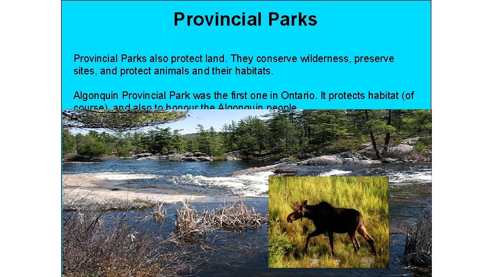Provincial Parks also protect land. They conserve wilderness, preserve sites, and protect animals and