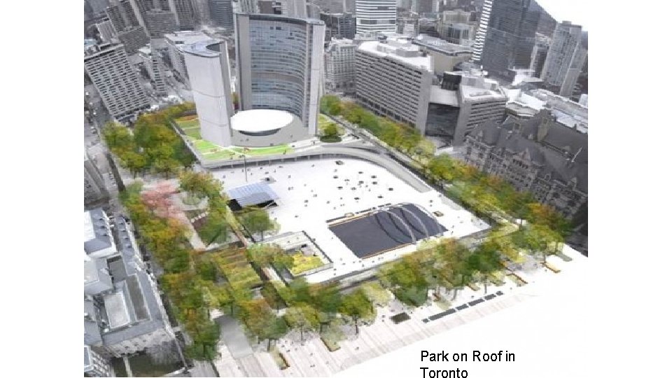 Park on Roof in 