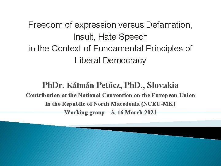 Freedom of expression versus Defamation, Insult, Hate Speech in the Context of Fundamental Principles