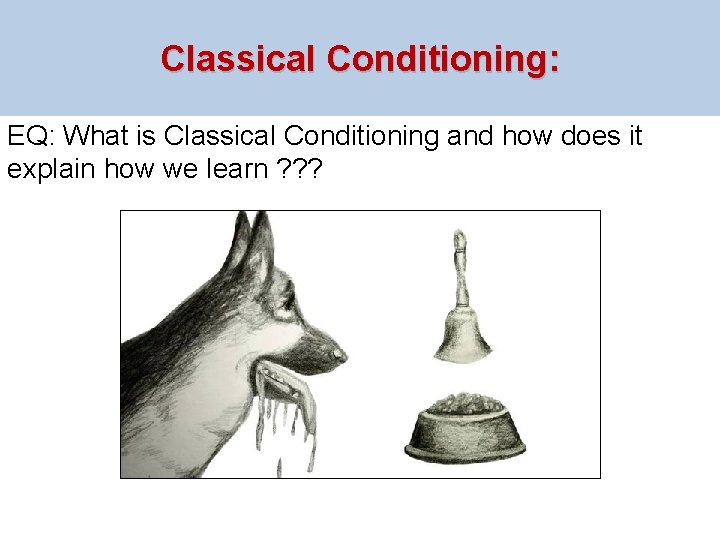 Classical Conditioning: EQ: What is Classical Conditioning and how does it explain how we