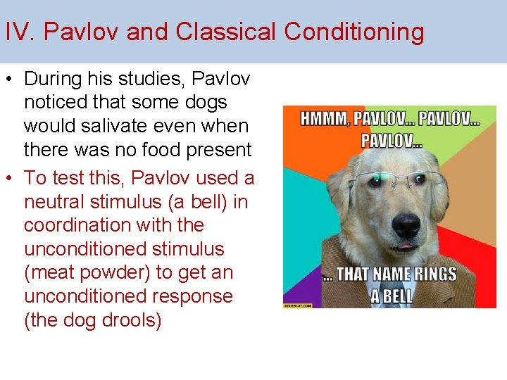 IV. Pavlov and Classical Conditioning • During his studies, Pavlov noticed that some dogs