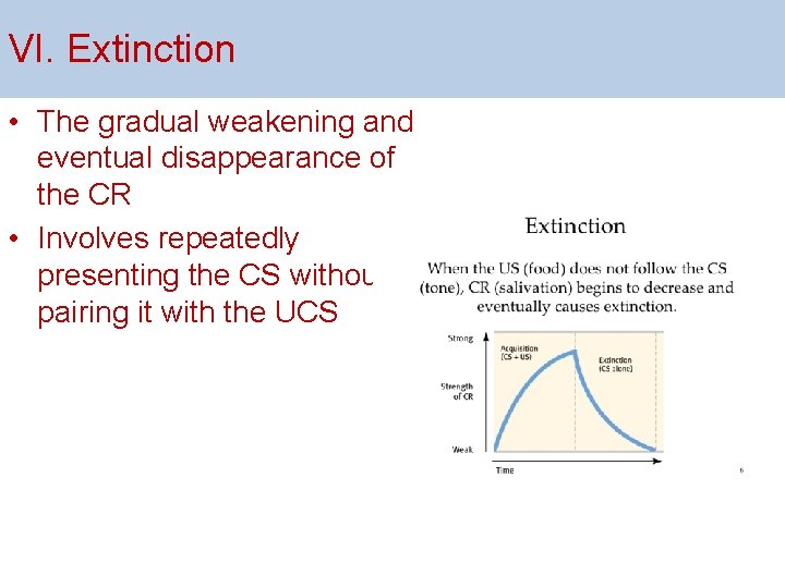 VI. Extinction • The gradual weakening and eventual disappearance of the CR • Involves