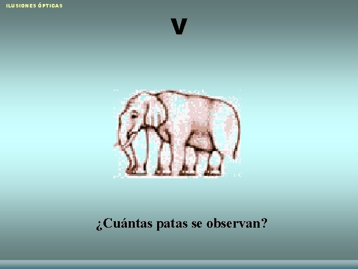 ILUSIONES ÓPTICAS V ¿Cuántas patas se observan? Raquel Sánchez López y Laura Torres Sánchez