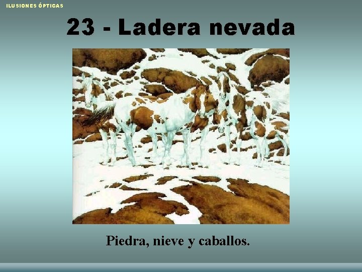 ILUSIONES ÓPTICAS 23 - Ladera nevada Piedra, nieve y caballos. Raquel Sánchez López y