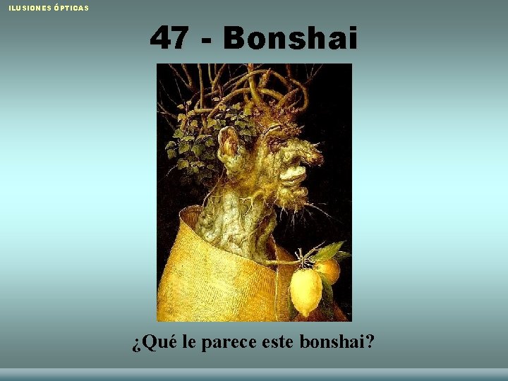 ILUSIONES ÓPTICAS 47 - Bonshai ¿Qué le parece este bonshai? Raquel Sánchez López y