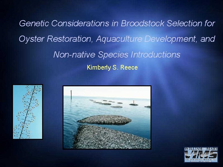 Genetic Considerations in Broodstock Selection for Oyster Restoration, Aquaculture Development, and Non-native Species Introductions