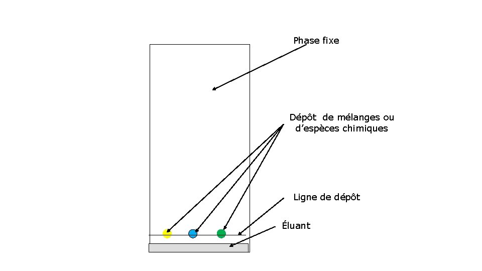 Phase fixe Dépôt de mélanges ou d’espèces chimiques Ligne de dépôt Éluant 