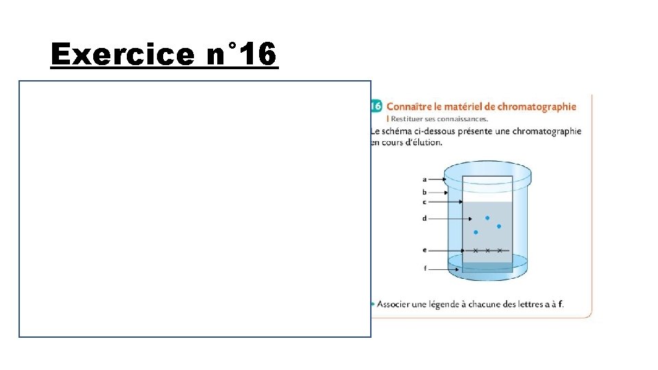 Exercice n° 16 a→ couvercle b → Cuve chromatographique c → front de solvant