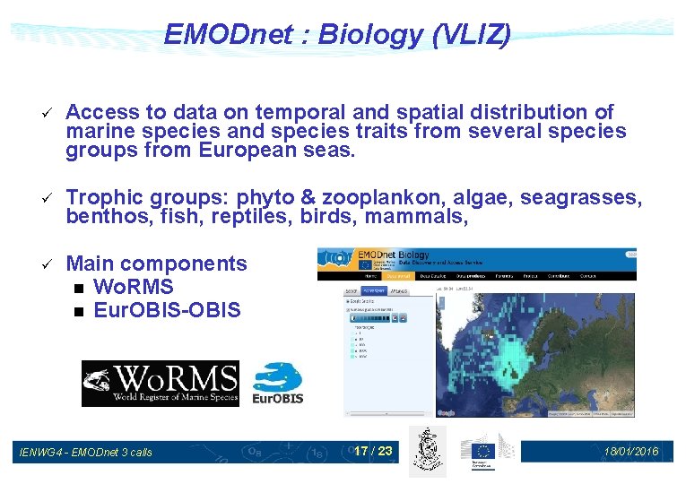 EMODnet : Biology (VLIZ) ü Access to data on temporal and spatial distribution of