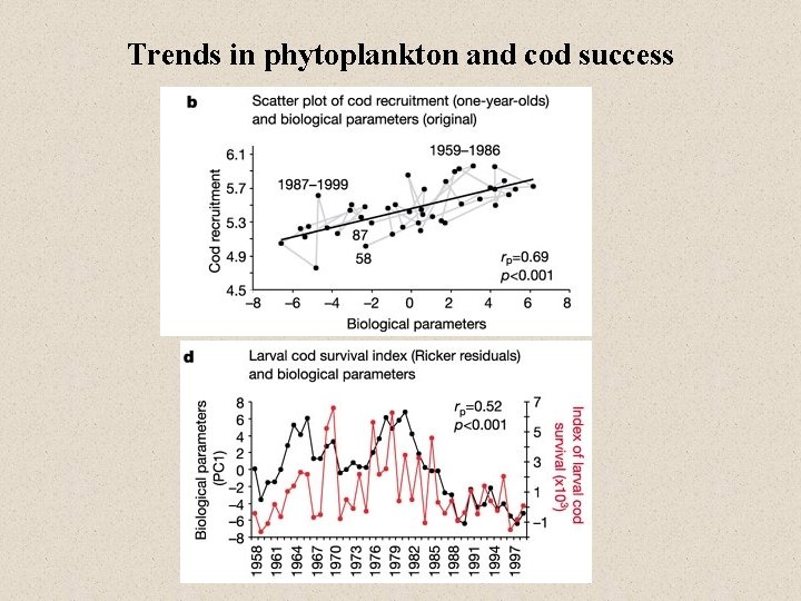 Trends in phytoplankton and cod success 