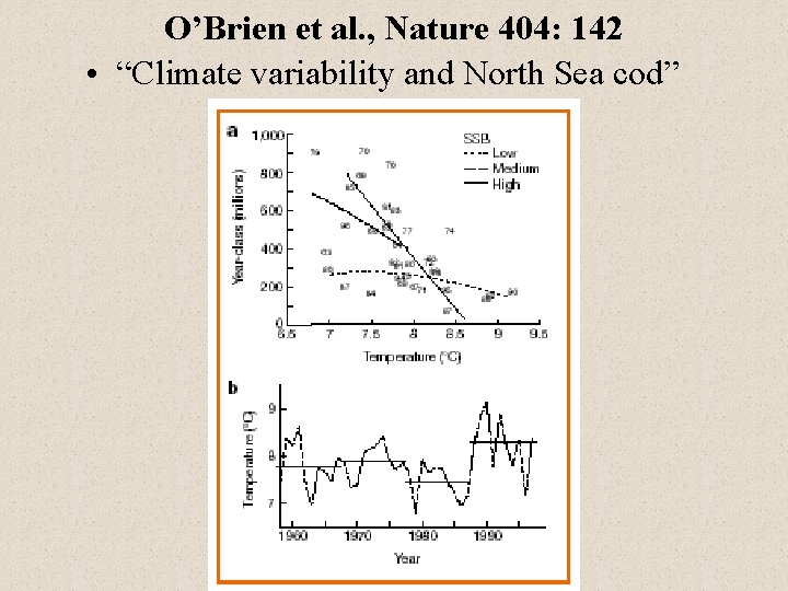 O’Brien et al. , Nature 404: 142 • “Climate variability and North Sea cod”
