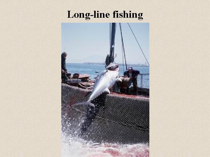 Long-line fishing 