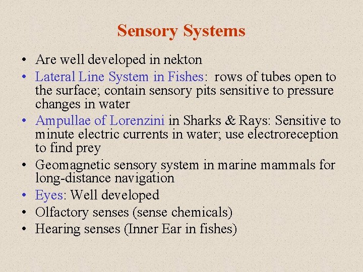 Sensory Systems • Are well developed in nekton • Lateral Line System in Fishes: