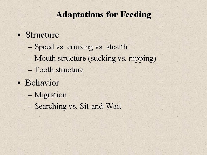 Adaptations for Feeding • Structure – Speed vs. cruising vs. stealth – Mouth structure