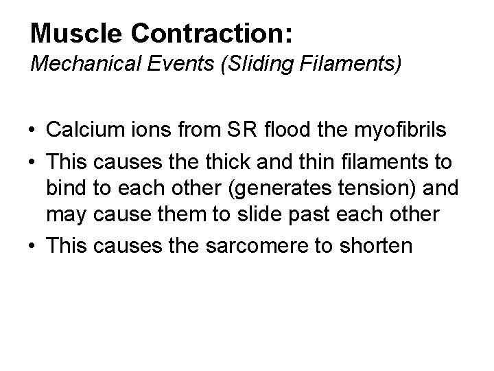Muscle Contraction: Mechanical Events (Sliding Filaments) • Calcium ions from SR flood the myofibrils