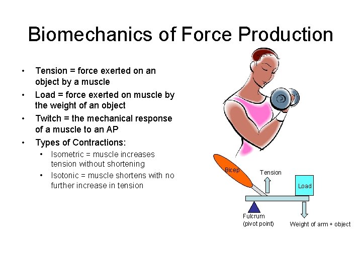 Biomechanics of Force Production • • Tension = force exerted on an object by